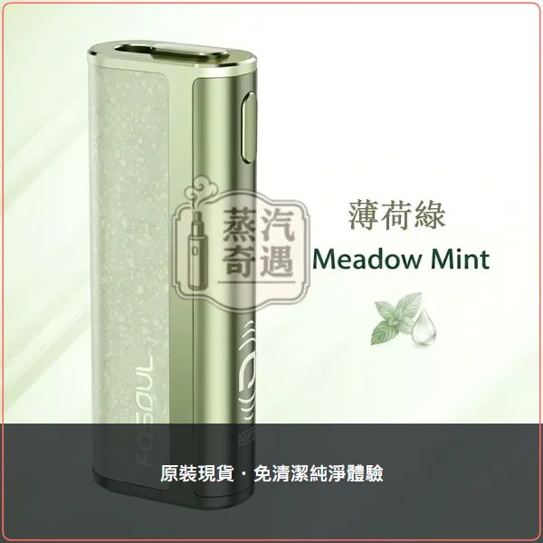 Fasoul C2 薄荷綠 IQOS二回機 一彈二抽 TEREA/SENTIA專用 20支續航,Fasoul C2 薄荷綠加熱菸二回機,顏色:薄荷綠,產品相冊第 2 張
